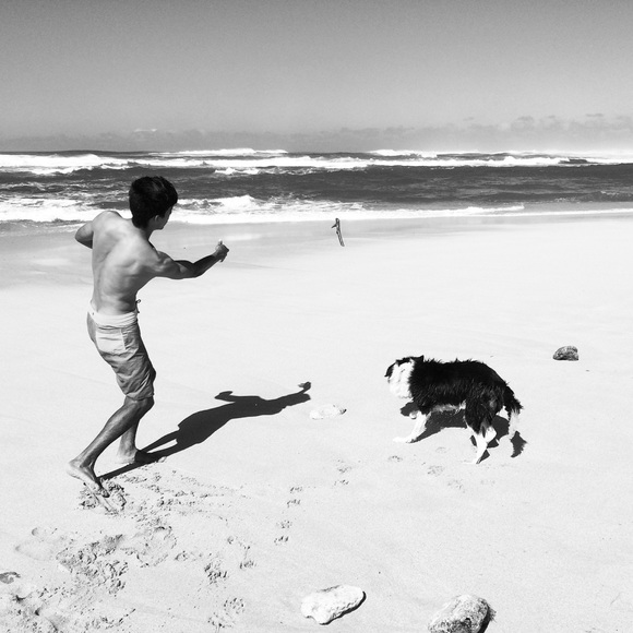 Meet your Posher, Abe - Picture 4 of 4